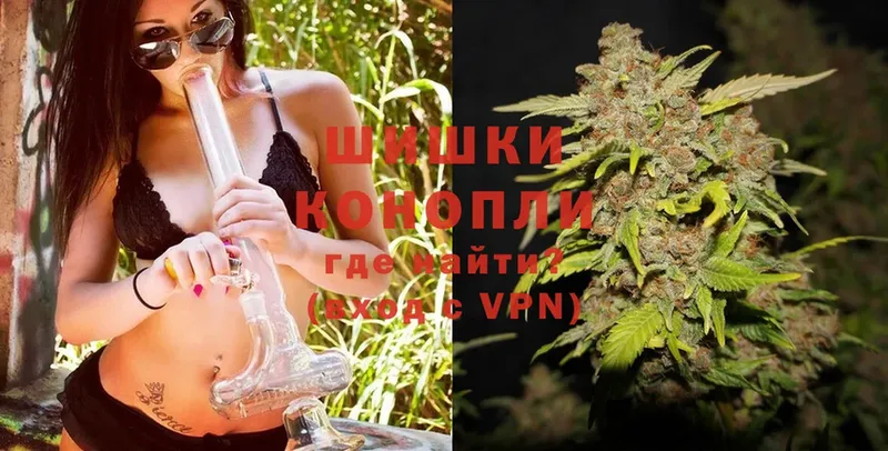 Бошки Шишки SATIVA & INDICA  где купить наркоту  Лобня 